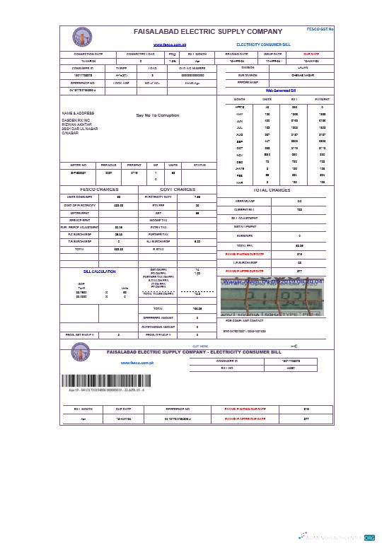 Download PAKISTAN FAISALABAD business utility bill Word and PDF template Photoshop template